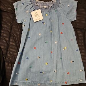 Hanna Andersson Blue Dress with Floral Details